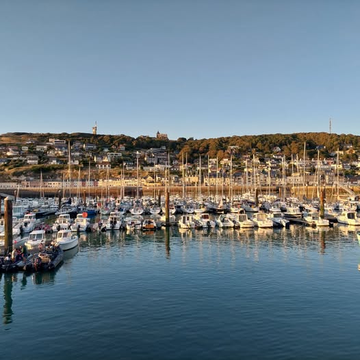 le port de plaisance de Fécamp au coucher de soleil
